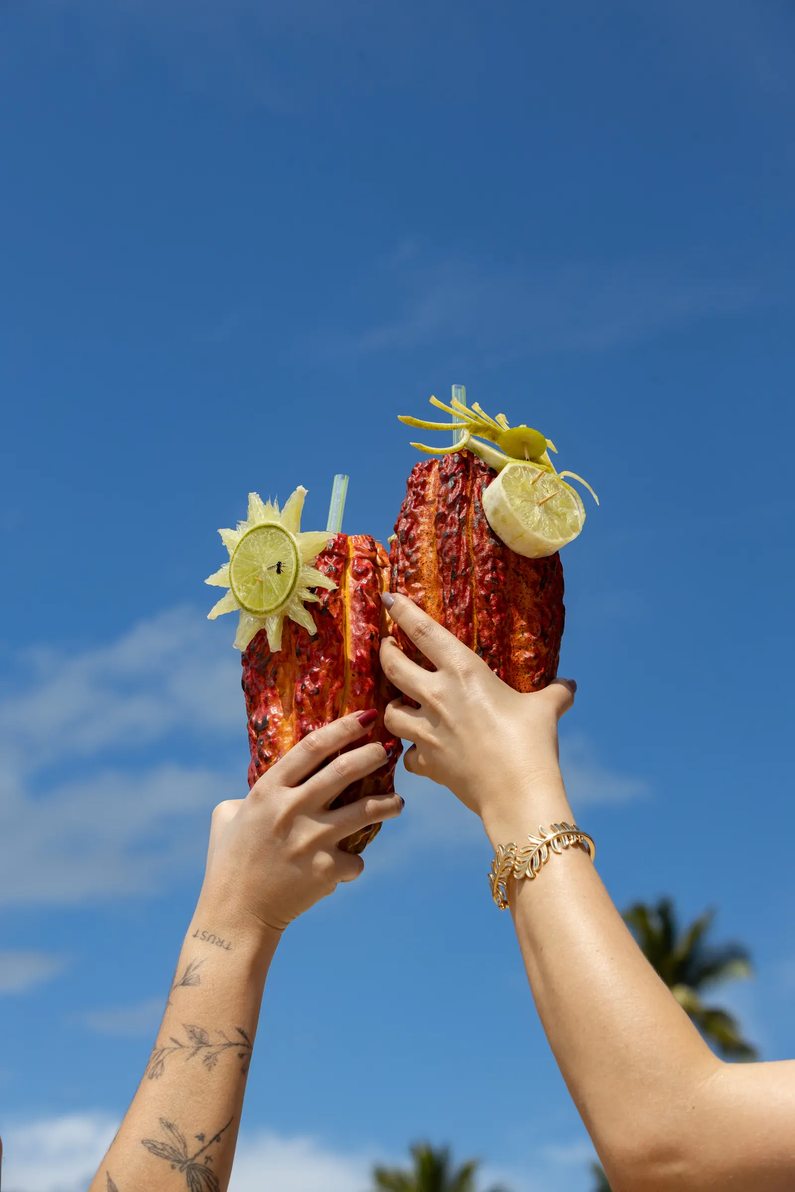 Duas pessoas brindam com drinques servidos em frutas, contra o céu azul e coqueiros